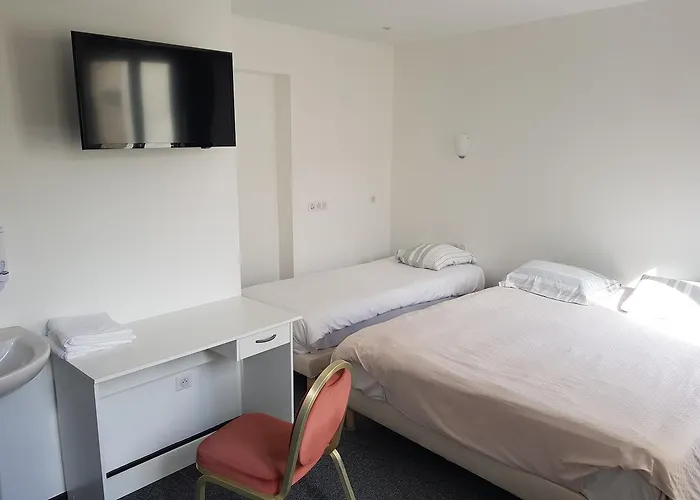 Hotel De La Paix 3*